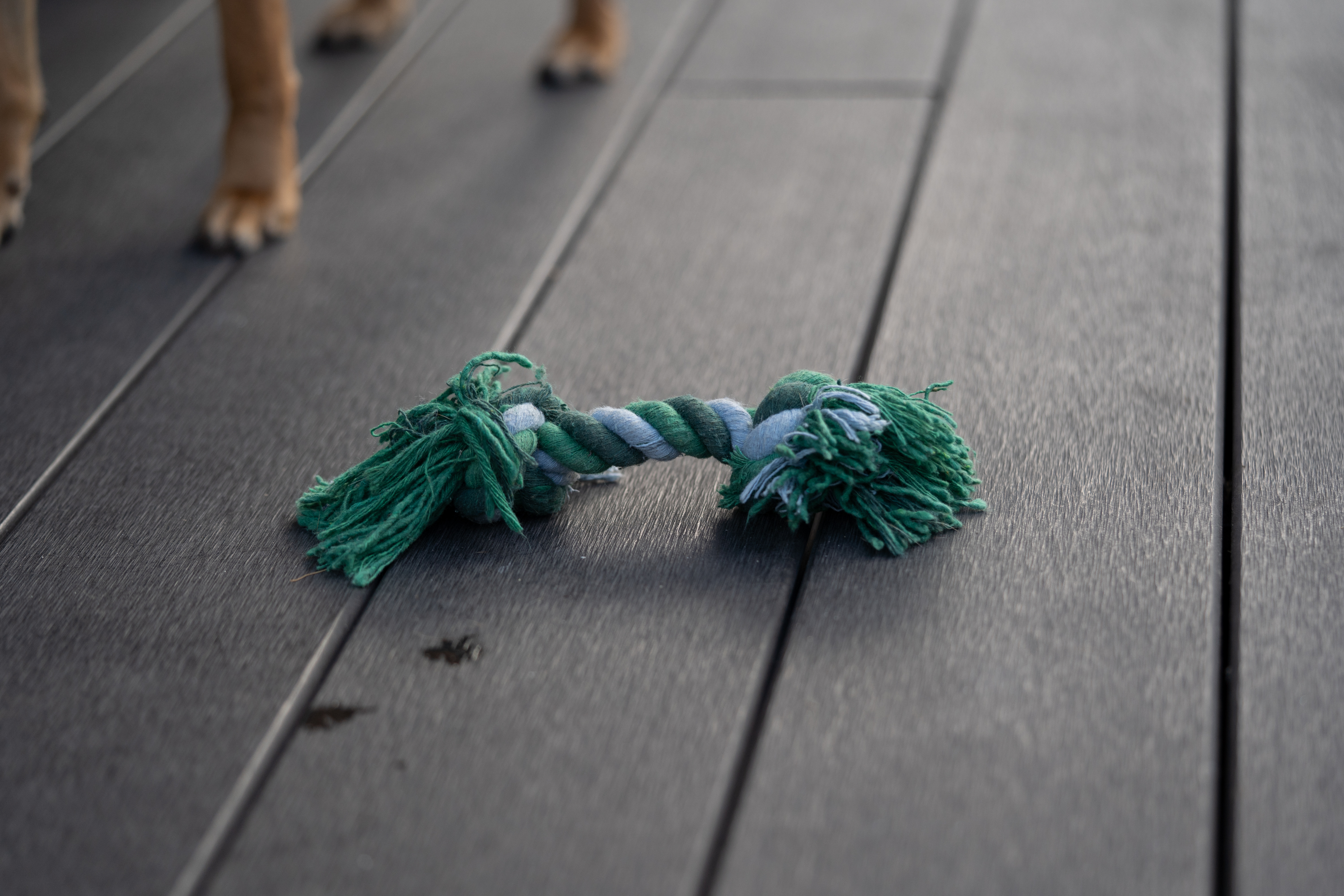 Igračke i aksesoari